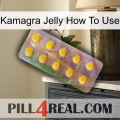 Kamagra Jelly How To Use new11